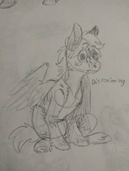 Size: 3120x4160 | Tagged: safe, artist:cackling-beast, derpibooru exclusive, imported from derpibooru, oc, oc only, pegasus, pony, pegasus oc, sitting, sketch, solo, text, traditional art, wall eyed