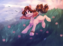 Size: 2200x1600 | Tagged: safe, artist:jsunlight, imported from derpibooru, oc, bird, earth pony, pony, chest fluff, earth pony oc, flower, grass, lightly watermarked, meadow, scenery, signature, slim, solo, thin, watermark