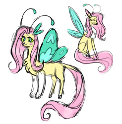 Size: 540x549 | Tagged: safe, artist:yubov, imported from derpibooru, fluttershy, draconequus, blushing, draconequified, flutterequus, simple background, sketch, smiling, solo, species swap, white background, wings