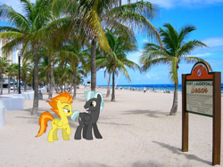 Size: 2048x1536 | Tagged: safe, artist:chainchomp2 edits, artist:dashiesparkle, edit, imported from derpibooru, spitfire, thunderlane, pegasus, pony, beach, bedroom eyes, female, firelane, florida, fort lauderdale, irl, lidded eyes, male, mare, palm tree, photo, ponies in real life, shipping, stallion, straight, tree