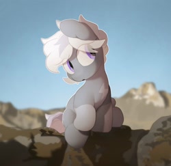 Size: 2604x2531 | Tagged: safe, artist:mochi_nation, imported from derpibooru, oc, oc only, oc:silver bolt, earth pony, pony, coat markings, earth pony oc, eye clipping through hair, female, mare, sitting, socks (coat markings), solo