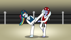 Size: 1920x1080 | Tagged: safe, artist:platinumdrop, imported from derpibooru, rainbow dash, sugarcoat, human, equestria girls, feet, kick, kicking, martial arts, ouch, request, taekwondo