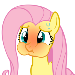 Size: 1280x1280 | Tagged: safe, imported from derpibooru, fluttershy, pegasus, stare master, female, holding breath, puffy cheeks, red face, simple background, solo, sweat, white background