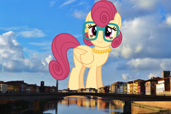 Size: 2048x1365 | Tagged: safe, artist:dashiesparkle, imported from derpibooru, posey shy, pegasus, pony, female, folded wings, giant pegasus, giant pony, giantess, glasses, highrise ponies, irl, italy, jewelry, macro, mare, mega giant, necklace, pearl necklace, photo, pisa, ponies in real life, story included, wings