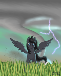 Size: 1600x2000 | Tagged: safe, artist:eklipsethepony, imported from derpibooru, oc, oc only, oc:eklipse, pegasus, pony, debris, determined look, grass, grass field, lightning, male, pegasus oc, smiling, smirk, solo, spread wings, storm, tornado, wind, windswept mane, wings