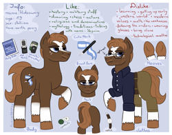 Size: 1275x1000 | Tagged: safe, artist:friedrich911, imported from derpibooru, oc, oc:hideaway, earth pony, clothes, earth pony oc, info, items, male, polish, ponysona, reference sheet, solo, stallion