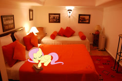 Size: 1024x681 | Tagged: safe, artist:jaredking779, artist:teiptr, edit, imported from derpibooru, fluttershy, pegasus, pony, bed, eyes closed, female, irl, lying down, mare, marrakech, marrakesh, morocco, photo, pillow, ponies in real life, prone, sleeping, solo