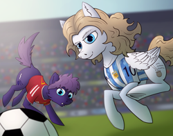 Size: 1920x1505 | Tagged: safe, artist:tsswordy, imported from derpibooru, oc, oc only, oc:wolf herbst, earth pony, pegasus, pony, argentina, clothes, duo, earth pony oc, football, pegasus oc, shirt, sports, t-shirt