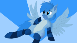 Size: 1920x1080 | Tagged: safe, artist:puginpocket, imported from derpibooru, oc, oc only, oc:simon pegasus, bat pony, hybrid, pegasus, pony, bat pony oc, belly, blue background, blue coat, blue eyes, blue mane, clothes, colored belly, happy, male, pale belly, pegasus oc, pegasus wings, simple background, smiling, socks, solo, stallion, striped socks, wings