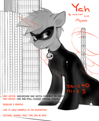 Size: 1800x2200 | Tagged: safe, artist:mysha, artist:zlatavector, imported from derpibooru, pony, auction, chat noir, clothes, collaboration, commission, cosplay, costume, miraculous ladybug, solo, your character here