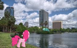 Size: 2000x1250 | Tagged: safe, artist:dashiesparkle edit, artist:jaredking779, edit, imported from derpibooru, pinkie pie, earth pony, pony, butt, female, florida, irl, mare, orlando, photo, plot, ponies in real life, solo, tree