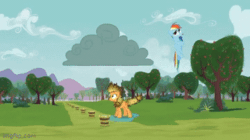 Size: 360x202 | Tagged: safe, edit, edited screencap, imported from derpibooru, screencap, applejack, rainbow dash, earth pony, pegasus, pony, apple family reunion, season 3, animated, applejack's hat, burnt, cloud, cowboy hat, duo, duo female, electrocution, female, flying, gif, hat, lightning, mare, path, puddle, reversed, shocked, stormcloud, surprised, tree, water