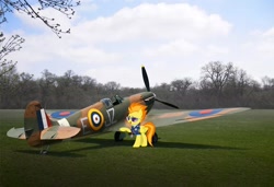 Size: 1580x1081 | Tagged: safe, imported from derpibooru, spitfire, pegasus, pony, clothes, drill sergeant, female, irl, mare, namesake, necktie, photo, plane, ponies in real life, pun, spitfire's whistle, sunglasses, supermarine spitfire, uniform, visual pun, whistle, whistle necklace, wonderbolts dress uniform