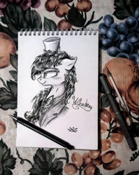 Size: 481x604 | Tagged: safe, artist:sparkingsnowflake, artist:wacky-skiff, imported from derpibooru, oc, oc only, pony, solo, traditional art