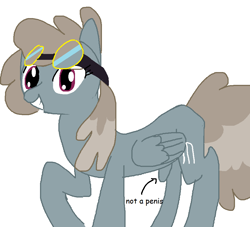 Size: 900x816 | Tagged: safe, artist:anonymous, dust devil, pegasus, pony, female, goggles, goggles on head, looking at you, mare, not a penis, smiling, solo, solo female, wings