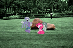 Size: 1600x1064 | Tagged: safe, artist:burdo49, artist:kooner-cz, artist:luckreza8, artist:thefrostspark, imported from derpibooru, limestone pie, marble pie, maud pie, pinkie pie, earth pony, pony, blushing, china, clothes, female, irl, mare, photo, pie sisters, ponies in real life, rock, shanghai, siblings, sisters