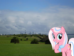 Size: 1844x1383 | Tagged: safe, artist:cheezedoodle96, artist:jaredking779, edit, imported from derpibooru, clear sky, pony, unicorn, auckland, female, hoof on chest, irl, mare, neckerchief, new zealand, photo, ponies in real life, solo