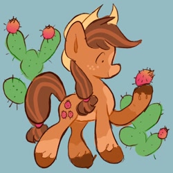 Size: 1024x1024 | Tagged: safe, artist:alexbeeza, imported from derpibooru, oc, oc:prickle pear, earth pony, pony, blue background, cactus, coat markings, cowboy hat, earth pony oc, female, freckles, fruit, hat, hoof hold, looking at something, mare, nopal, prickly pear, simple background, socks (coat markings), solo, tuna fruit, unshorn fetlocks