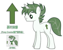 Size: 4482x3588 | Tagged: safe, artist:equestria secret guard, imported from derpibooru, oc, oc only, oc:tea green, pony, unicorn, pony creator, chinese, horn, male, simple background, solo, stallion, transparent background, unicorn oc, vector