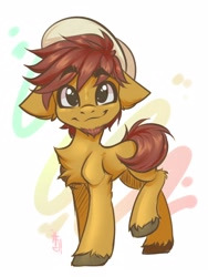 Size: 1200x1600 | Tagged: safe, artist:falafeljake, imported from derpibooru, oc, oc only, oc:comet thunder, earth pony, pony, abstract background, adorable face, chest fluff, commission, cute, earth pony oc, facial hair, floppy ears, hat, looking at you, male, raised leg, simple background, slim, smiling, smiling at you, solo, standing, thin, white background