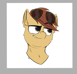 Size: 792x767 | Tagged: safe, artist:rapid9, imported from derpibooru, oc, oc only, oc:comet thunder, earth pony, pony, aviator sunglasses, bust, commission, earth pony oc, grin, male, portrait, smiling, smug, solo, sunglasses, ych result