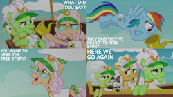 Size: 2000x1125 | Tagged: safe, edit, edited screencap, editor:quoterific, imported from derpibooru, screencap, apple rose, auntie applesauce, goldie delicious, granny smith, rainbow dash, grannies gone wild