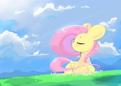 Size: 4093x2894 | Tagged: safe, artist:bubbletea, imported from derpibooru, fluttershy, pegasus, pony, eyes closed, female, folded wings, grass, high res, lying down, outdoors, prone, sky, smiling, solo, tail, turned head, windswept mane, windswept tail, wings