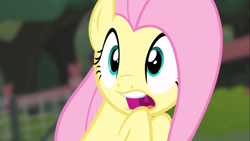 Size: 1366x768 | Tagged: safe, imported from derpibooru, screencap, fluttershy, pegasus, pony, filli vanilli, season 4, blurry background, cute, open mouth, reaction image, scared, shyabetes, solo