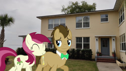 Size: 2048x1152 | Tagged: safe, artist:dashiesparkle, artist:jaredking779, artist:ocarina0ftimelord, imported from derpibooru, doctor whooves, roseluck, time turner, earth pony, pony, bowtie, eyes closed, female, florida, house, irl, jacksonville, male, mare, photo, ponies in real life, smiling, stallion