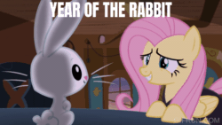 Size: 520x293 | Tagged: safe, edit, edited screencap, editor:quoterific, imported from derpibooru, screencap, angel bunny, fluttershy, pegasus, pony, rabbit, scare master, animal, animated, duo, duo male and female, evil grin, female, grin, lunar new year, male, mare, nervous, nervous grin, plotting, smiling, year of the rabbit
