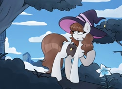 Size: 960x701 | Tagged: safe, artist:nathegar, imported from derpibooru, oc, oc only, earth pony, pony, bag, brown mane, brown tail, cloud, commission, earth pony oc, flower, hat, saddle bag, solo, tail, white coat, witch hat