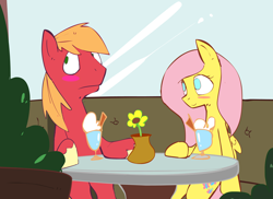 Size: 2292x1667 | Tagged: safe, artist:swomswom, edit, imported from derpibooru, big macintosh, fluttershy, earth pony, pegasus, pony, blush sticker, blushing, female, flower, fluttermac, food, ice cream, male, mare, no pupils, shipping, sitting, stallion, straight, unshorn fetlocks