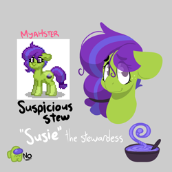 Size: 1500x1500 | Tagged: safe, artist:myahster, imported from derpibooru, oc, oc only, oc:susiestew, earth pony, pony, pony town, bust, cutie mark, freckles, messy mane, reference sheet