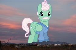 Size: 2048x1365 | Tagged: safe, artist:dashiesparkle, artist:jaredking779, imported from derpibooru, gentle breeze, pegasus, pony, barcelona, clothes, facial hair, folded wings, giant pony, highrise ponies, irl, macro, male, mountain, mountain range, moustache, photo, ponies in real life, shirt, stallion, wings