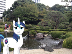 Size: 2048x1536 | Tagged: safe, artist:90sigma, artist:jaredking779, imported from derpibooru, shining armor, pony, unicorn, irl, japan, looking at you, male, photo, ponies in real life, smiling, solo, stallion, tokyo