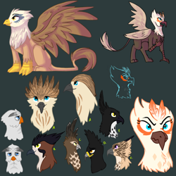 Size: 700x700 | Tagged: safe, artist:littlelime, imported from twibooru, oc, oc only, unnamed oc, griffon, angry, beak, bust, design, designs, griffon oc, image, looking at you, multiple characters, one leg raised, open beak, open mouth, png, sitting, standing