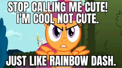 Size: 800x450 | Tagged: safe, imported from ponybooru, screencap, scootaloo, pegasus, season 2, the return of harmony, caption, cute, female, filly, foal, image macro, meme, solo, text