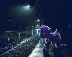 Size: 3500x2800 | Tagged: safe, artist:shad0w-galaxy, imported from derpibooru, oc, oc only, oc:shadow galaxy, pegasus, pony, crying, depressed, dripping, female, hooves, irl, mare, night, photo, ponies in real life, rain, sad, solo, unshorn fetlocks, wet, wet mane, wings