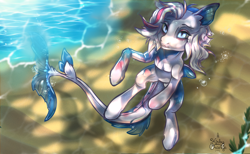 Size: 2600x1600 | Tagged: safe, artist:kirby_orange, imported from derpibooru, oc, oc only, oc:colgate, merpony, pony, beautiful, blue eyes, blue tail, bubble, crepuscular rays, cute, digital art, ear fluff, fins, fish tail, flowing mane, flowing tail, glowing, glowing eyes, high res, lidded eyes, looking at you, looking up, male, ocean, sand, seaweed, signature, smiling, solo, stallion, sunlight, swimming, tail, underwater, water