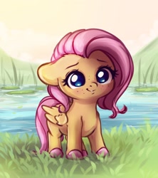 Size: 1692x1904 | Tagged: dead source, safe, artist:miokomata, imported from derpibooru, fluttershy, pegasus, pony, chibi, colored hooves, cute, daaaaaaaaaaaw, female, floppy ears, freckles, freckleshy, grass, mare, pond, shyabetes, smiling, solo, water, weapons-grade cute