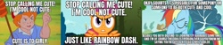 Size: 2933x600 | Tagged: safe, imported from ponybooru, screencap, danny williams, rainbow dash, scootaloo, human, pegasus, my little pony 'n friends, rainbow falls, season 2, the return of harmony, the return of tambelon, caption, child, children, combing, cool, cute, female, filly, foal, g1, g4, image macro, male, mare, meme, text