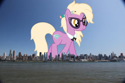 Size: 2048x1365 | Tagged: safe, artist:jaredking779, artist:starryshineviolet, imported from derpibooru, grace manewitz, earth pony, pony, background pony, female, giant pony, giant/macro earth pony, giantess, glasses, highrise ponies, irl, macro, manhattan, mare, mega giant, new york, new york city, pencil, photo, ponies in real life