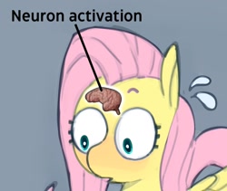 Size: 1298x1097 | Tagged: safe, artist:coffeetoffeeart, color edit, edit, imported from derpibooru, fluttershy, pegasus, pony, blushing, brain, colored, cropped, explicit source, female, mare, meme, neuron activation, organs, simple background, solo, sweat, sweatdrop, text