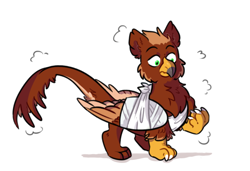Size: 1362x930 | Tagged: safe, artist:kitesart, imported from derpibooru, oc, oc only, oc:pavlos, griffon, bandage, broken bone, broken wing, cast, chest fluff, claws, eared griffon, griffon oc, injured, simple background, sling, solo, surprised, white background, wing cast, wing sling, wings