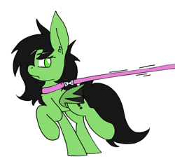 Size: 761x722 | Tagged: safe, artist:ponballoon, artist:ponny, imported from derpibooru, oc, oc only, oc:anon-mare, oc:bats, bat pony, pony, collar, female, leash, pony pet, simple background, solo, white background