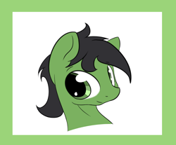 Size: 1208x1000 | Tagged: safe, artist:ricy, imported from derpibooru, oc, oc:anon stallion, earth pony, pony, bust, colored, earth pony oc, flat colors, looking at you, portrait, simple background, smiling, sternocleidomastoid