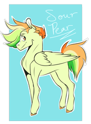 Size: 1831x2500 | Tagged: safe, artist:silagekiddz, imported from derpibooru, oc, oc only, oc:sour pear, pegasus, pony, colt, concave belly, foal, grin, male, offspring, parent:big macintosh, parent:rainbow dash, parents:rainbowmac, passepartout, simple background, slim, smiling, solo, sternocleidomastoid, teenager, thin, thin legs, transparent background, unshorn fetlocks