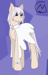 Size: 2055x3200 | Tagged: safe, artist:maître cervidé, imported from derpibooru, oc, oc:snow sprite, earth pony, clothes, female, scar, simple background, solo
