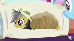 Size: 1920x1080 | Tagged: safe, imported from derpibooru, screencap, daring do, rainbow dash, pegasus, pony, season 6, stranger than fan fiction, 1080p, body pillow, discovery family, discovery family logo, female, logo, mare, pillow, solo