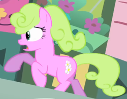 Size: 443x345 | Tagged: safe, imported from derpibooru, screencap, daisy, flower wishes, earth pony, pony, bridle gossip, season 1, animation error, background pony, cropped, female, flower shop, galloping, mare, panicking, running, solo, solo focus